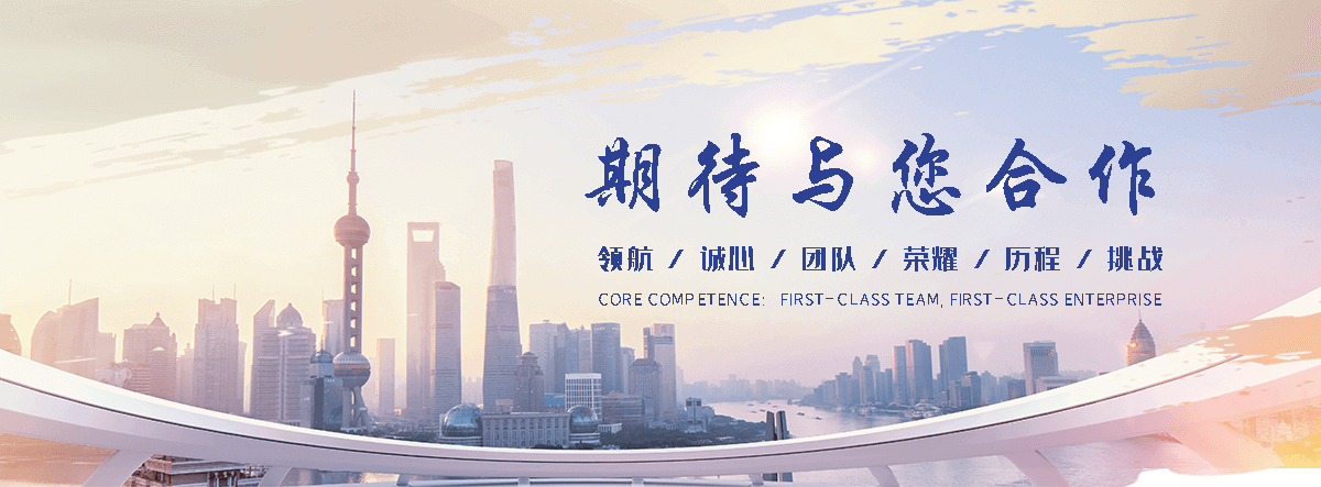 阳江海狮租赁公司